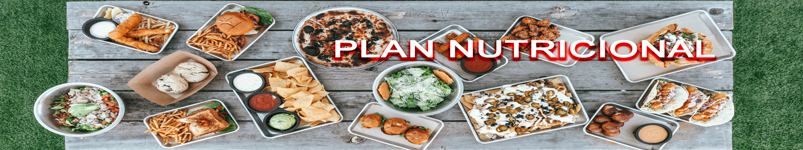 plan-nutricional-web